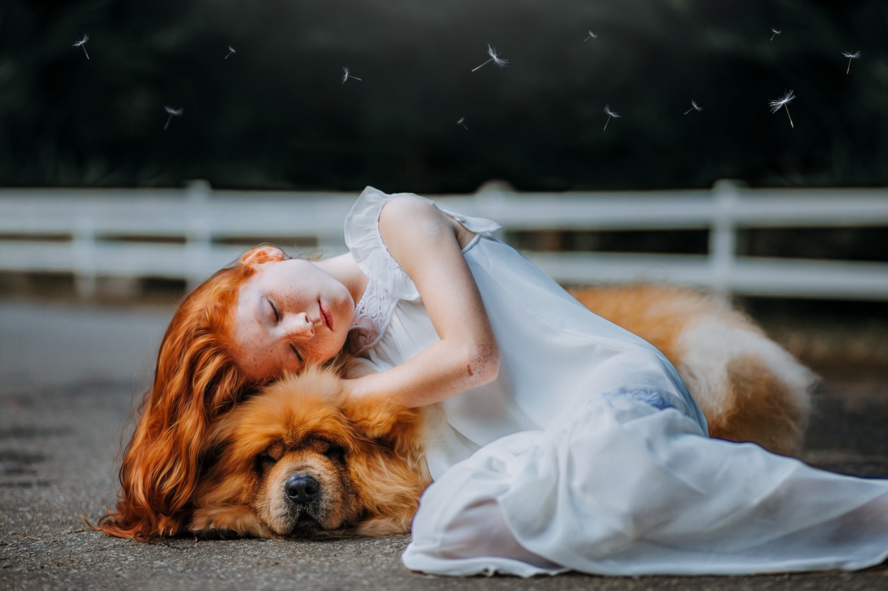 Wie führt man einen Hund an ein Kleinkind heran? Kann ein Hund eine Gefahr für ein kleines Kind darstellen?