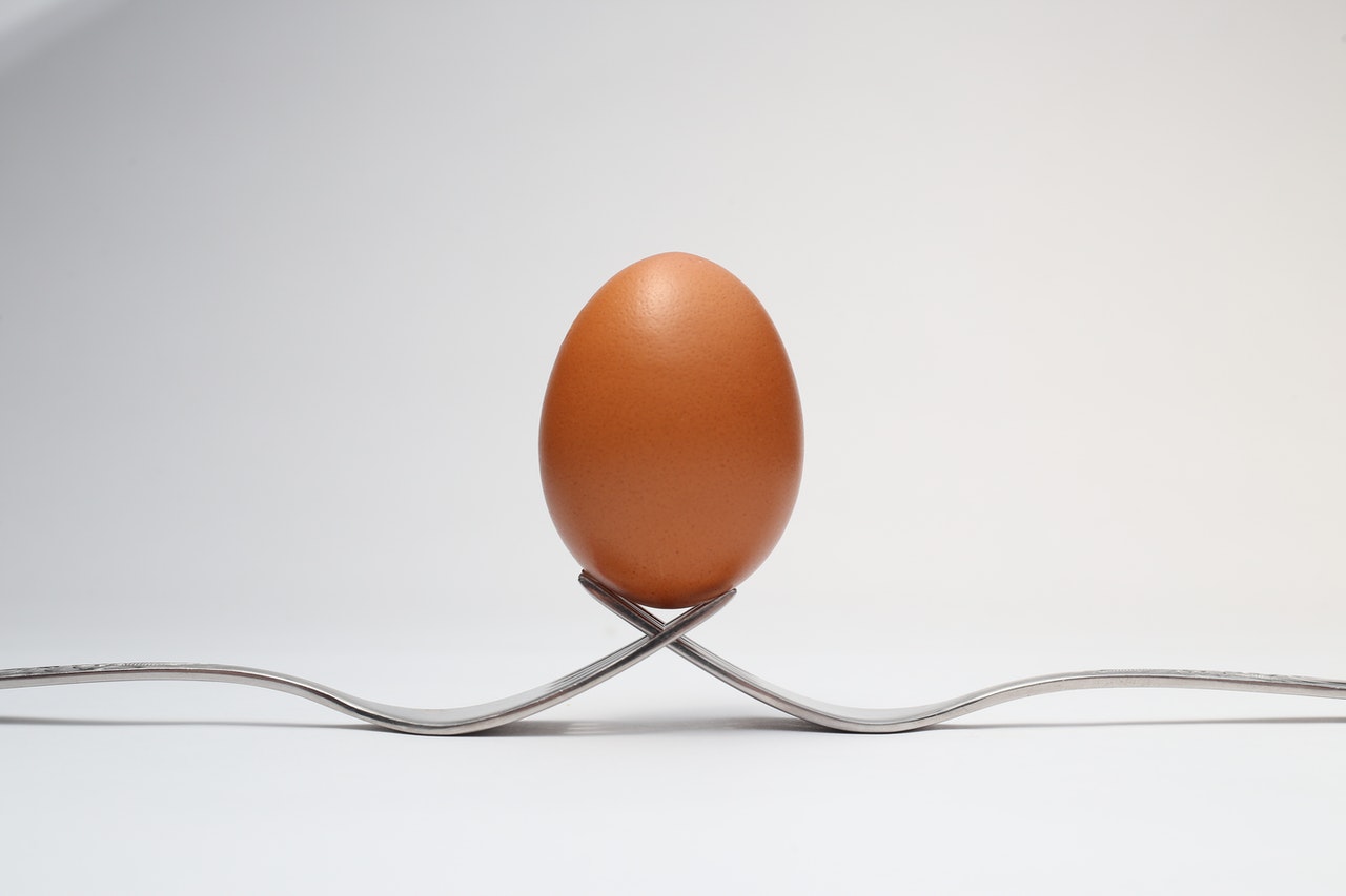 Oder ist gekocht oder das Eigelb selbst besser?