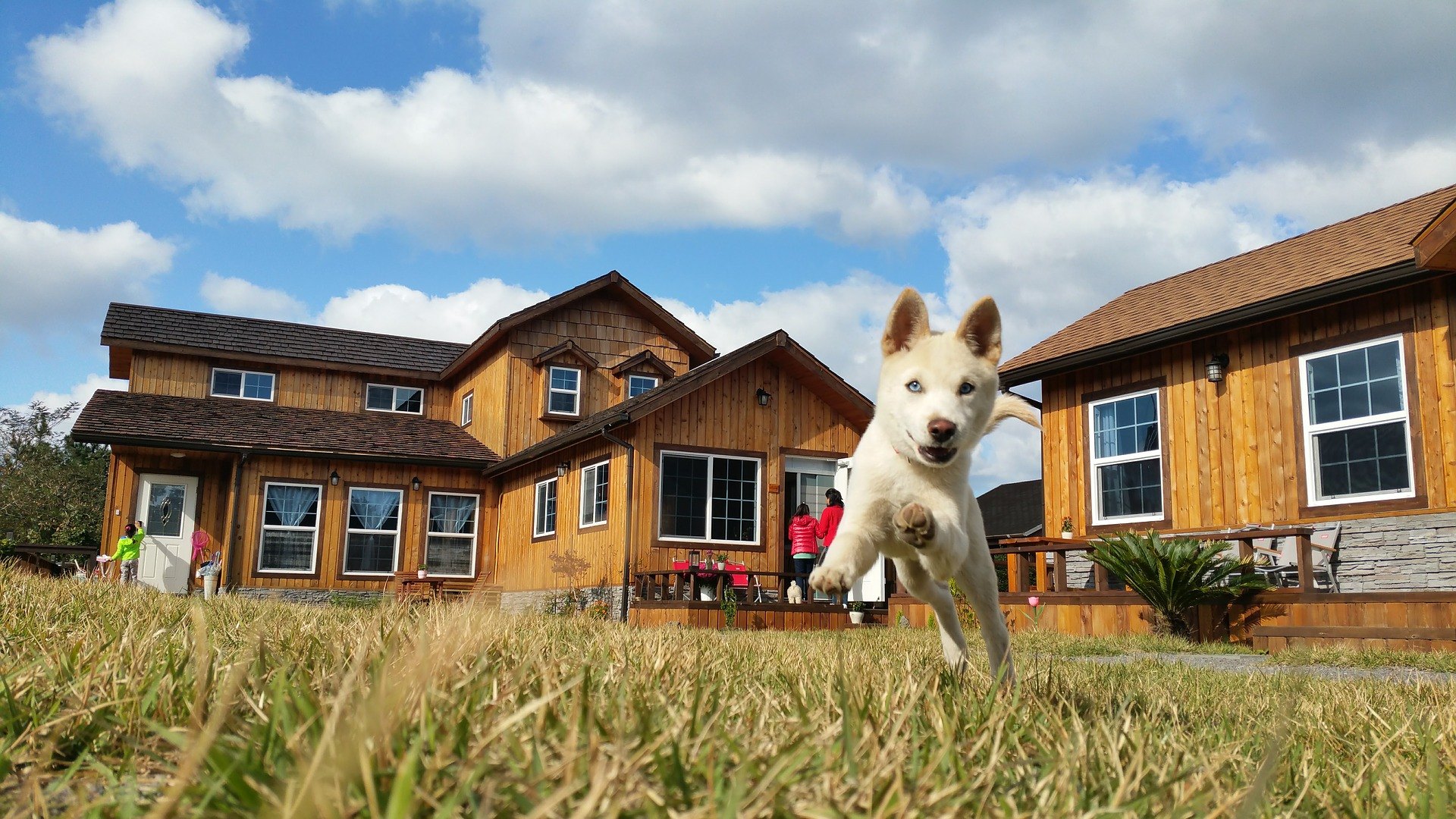 Ihr Welpe sollte auch nach entsprechender Vorbereitung nicht länger als 3-4 Stunden allein im Haus bleiben. Ein Hund als soziales Tier fühlt sich ohne Gesellschaft schlecht.