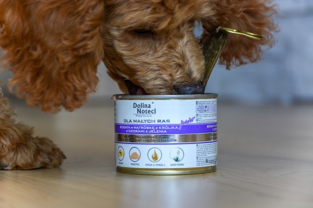 Dolina noteci Nassfutter für Hunde kleiner Rassen.