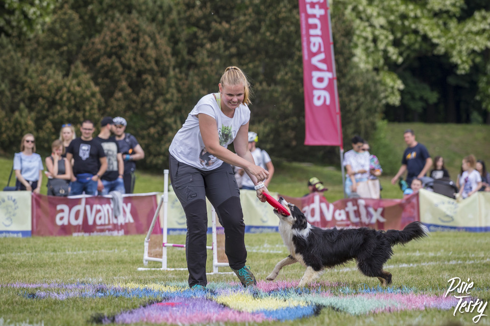 Beweglichkeitsübungen für Hunde mit einem Vormund