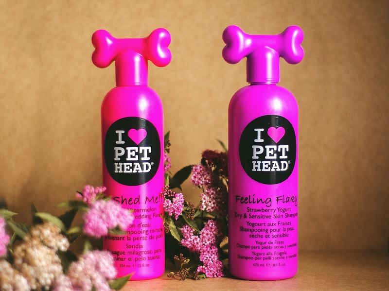 Zwei Shampoos zum Waschen des Hundes.