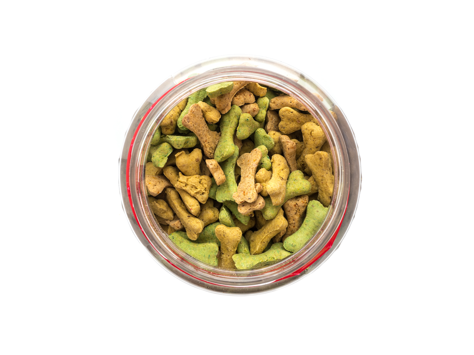 Glas mit Würfeln für Hunde. Snacks mit Kurkuma haben gesundheitsfördernde Eigenschaften