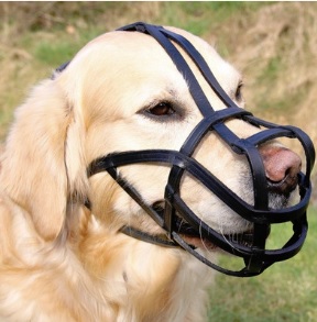 Lederkorb Schnauze