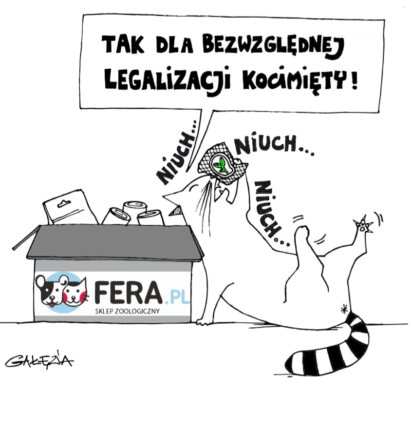 Die Katze, die Katzenminze schnüffelt, ruft "Ja zur absoluten Legalisierung von Katzenminze" aus.
