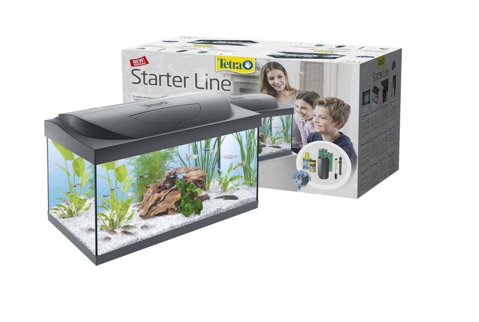 erstes Aquarium