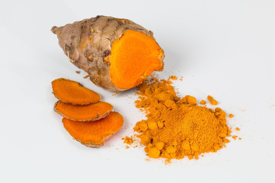 Kurkuma-Wurzel mit einer schönen, intensiv gelben Farbe. Daneben Kurkumapulver