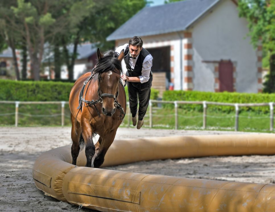 Ein Voltaire führt einen Sprung auf einem Pferd aus.