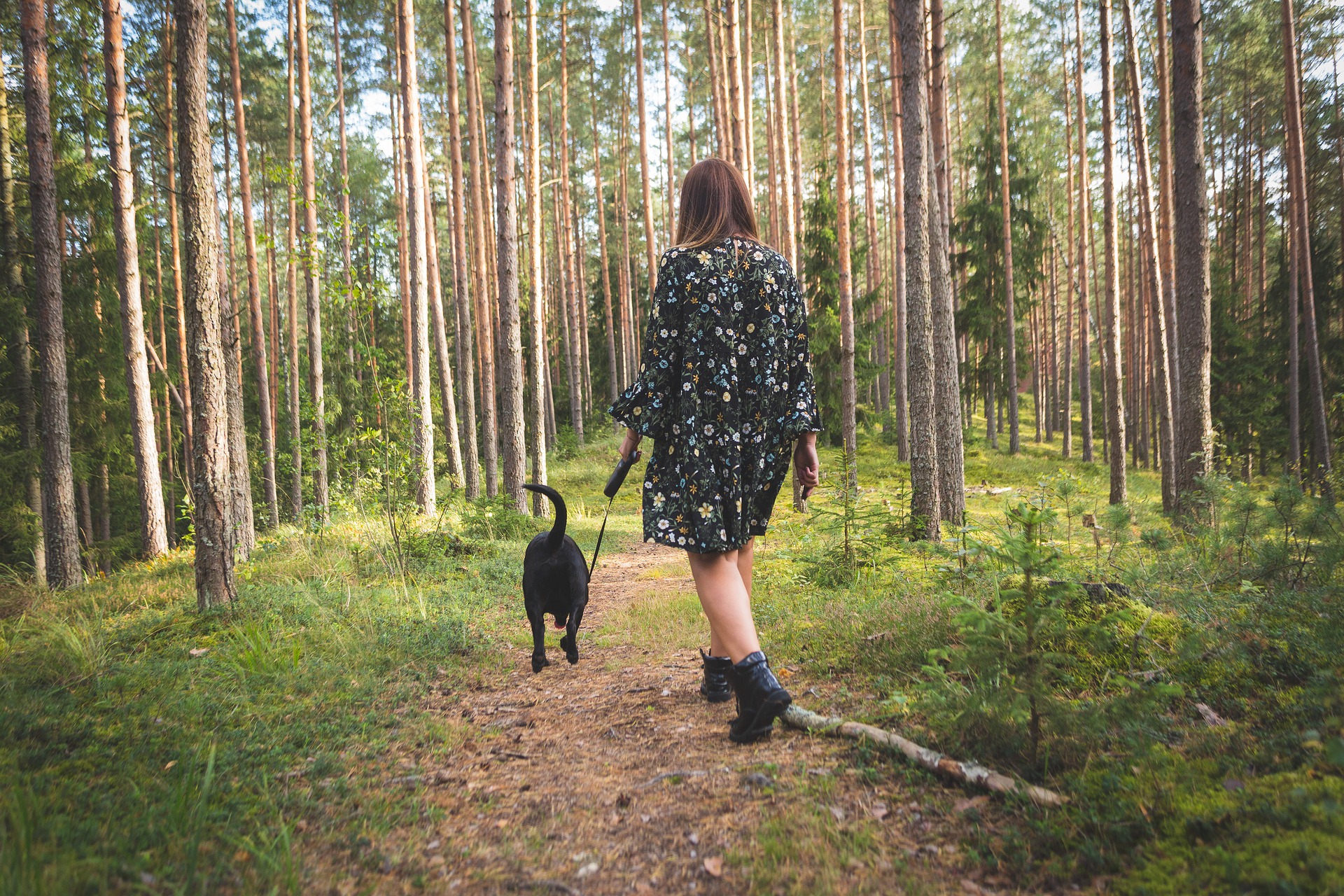 Bevor Sie mit Ihrem Hund ins Ausland gehen, müssen Sie die Regeln für das Reisen mit Tieren überprüfen, sowohl in dem Land, in dem unsere Reise stattfindet, als auch in dem Land, durch das wir reisen möchten.