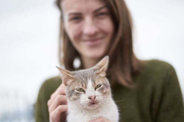 Eine Katze, die auf dem Schoß einer Frau gestreichelt wird.