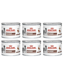 ROYAL CANIN Vet dog cat recovery 6 x 195 g Diät-Alleinfuttermittel für ausgewachsene Hunde und ausgewachsene Katzen