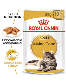 ROYAL CANIN Mainecoon 48x85 g
