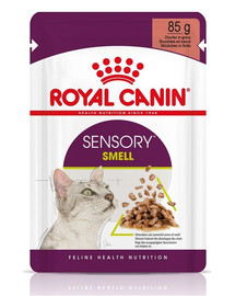 ROYAL CANIN Sensory Smell gravy 24x85 g