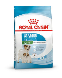 ROYAL CANIN Mini Starter Mother & Babydog 8 kg Trockenfutter für trächtige und säugende Hündinnen und Welpen, von 4 bis 8 Wochen, kleine Rassen