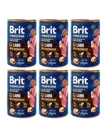 BRIT Premium by Nature Lamm und Buchweizen 6x400 g natürliches Hundefutter