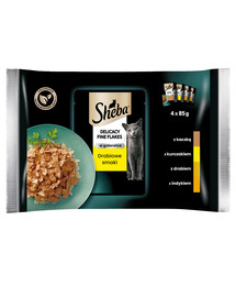 SHEBA Delicacy in Jelly Collection of Flavours 4 x 0.085 kg