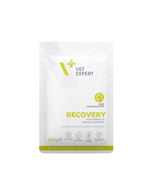 VET EXPERT Veterinary Diet Cat Recovery pouch 100 g
