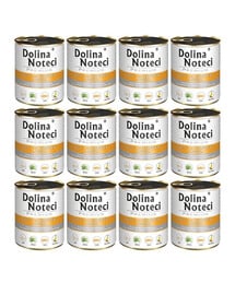 DOLINA NOTECI Premium reich an Ente mit Kürbis 12x800 g
