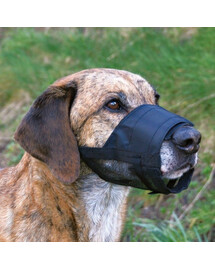 TRIXIE Nylon Maulkorb mit Netz 5