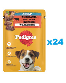PEDIGREE Adult Beutel 24x100g: Nassfutter für adulte Hunde, mit einer Mischung aus Rindfleisch und Leber, in Gelee
