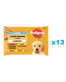 PEDIGREE Junior Mix 52x100g: Nassfutter für Welpen in Stückchen mit einer Mischung aus Rindfleisch, Leber und Reis, und mit Huhn und Reis, in Gelee