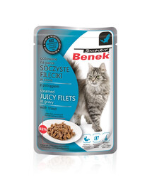 BENEK Super Filets in Sauce mit Forelle 85 g