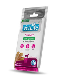 FARMINA Vet Life Dental Treat Struvite Medium/Maxi 100 g dental snack für mittelgroße und große Hunde