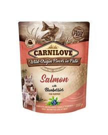 Dog Paté Salmon with Blueberries Puppies 300g mokra karma dla szczeniąt Łosoś z jagodami