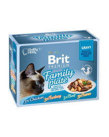Premium by Nature Cat Delicate Fillets in Gravy Family Plate 12x85g mokra karma w sosie dla dorosłych kotów