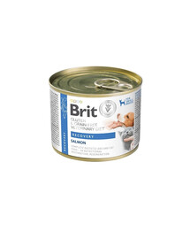 Veterinary Diet Grain Free Recovery 200 g łosoś i wątróbka z kurczaka dla psa i kota w okresie rekonwalescencji