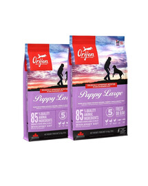 ORIJEN Puppy Large 22,8 kg (2 x 11,4 kg)