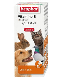 BEAPHAR Vitamin B Complex Zestaw Witamin B 50 ml
