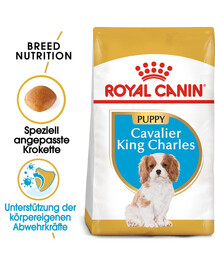 ROYAL CANIN Cavalier King Charles Spaniel Puppy 2x1,5 kg