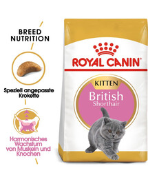 ROYAL CANIN British Shorthair Kitten 6x400 g