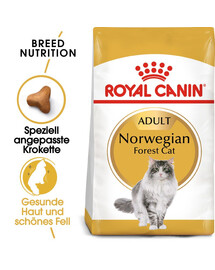 ROYAL CANIN Norvegian Trockenfutter für adulte Norwegische Waldkatzen 2x2 kg