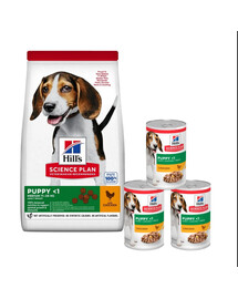 HILL'S Science Plan Canine Puppy Medium Chicken für Hunde mittlerer Rassen mit Huhn 18 kg + 3 Dosen GRATIS
