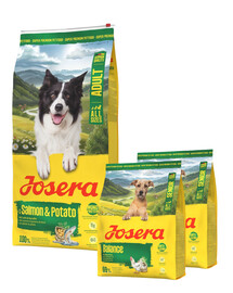 JOSERA Salmon and Potato Adult 12,5kg bezzbożowa karma dla psów z wrażliwym żołądkiem + 2x900g karmy GRATIS