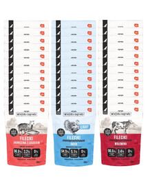 WIEJSKA ZAGRODA Nassfutter Monoprotein Filets Mix Geschmacks mit Rind, Lamm, Lachs und Truthahn für adulte Hunde getreidefrei 36x280 g