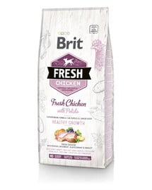 BRIT Fresh chicken with potato puppy healthy growth 2,5 kg