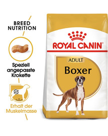 ROYAL CANIN Boxer Adult Hundefutter trocken 12 kg