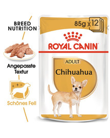 ROYAL CANIN Chihuahua Adult Hundefutter nass in Soße 12 x 85 g