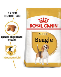 ROYAL CANIN Beagle Adult Hundefutter trocken 24 kg (2 x 12 kg)