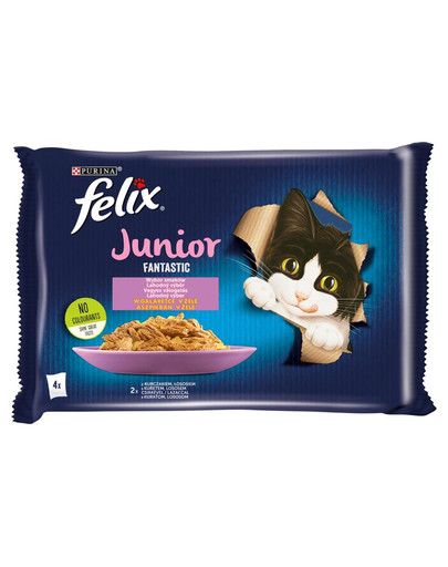 FELIX Fantastic Junior So gut wie es ausssieht mit Huhn & Lachs in Gelee 4x85g