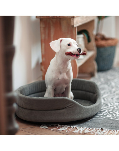FERA Hundebett oval grau L 66x55x17 cm