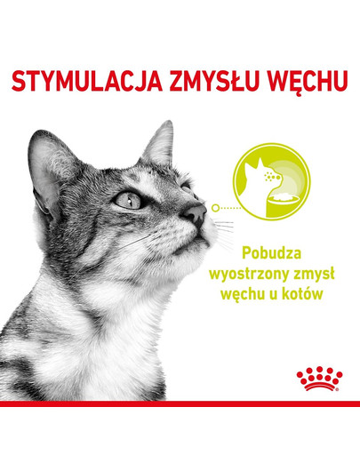 ROYAL CANIN Sensory smell 12x85 g