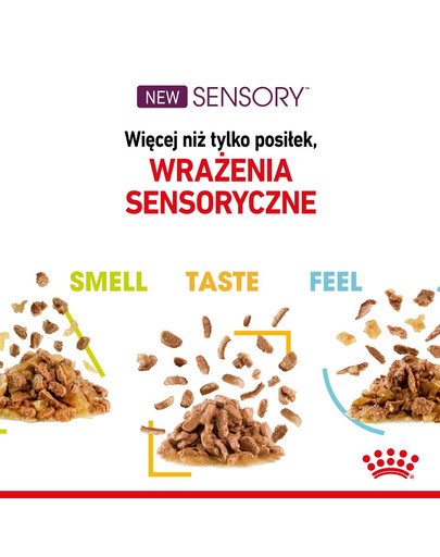 ROYAL CANIN Sensory smell 12x85 g
