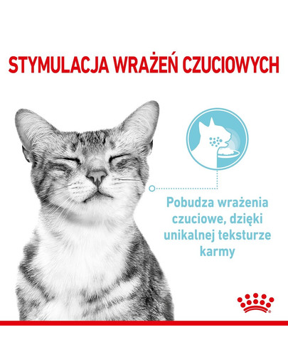 ROYAL CANIN Sensory Feel Katzen-Nassfutter 12x85 g
