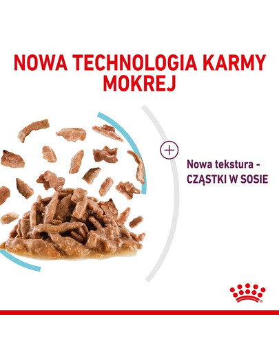 ROYAL CANIN Sensory Feel Katzen-Nassfutter 12x85 g