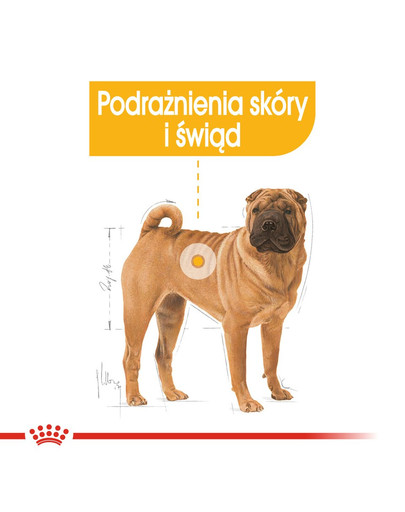 ROYAL CANIN Medium Dermacomfort 12 kg Trockenfutter für ausgewachsene Hunde, mittelgroße Rassen mit empfindlicher Haut