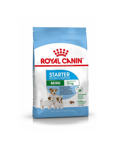 ROYAL CANIN Mini Starter Mother& Babydog 4 kg für trächtige und säugende Hündinnen und Welpen, von 4 bis 8 Wochen, kleine Rassen